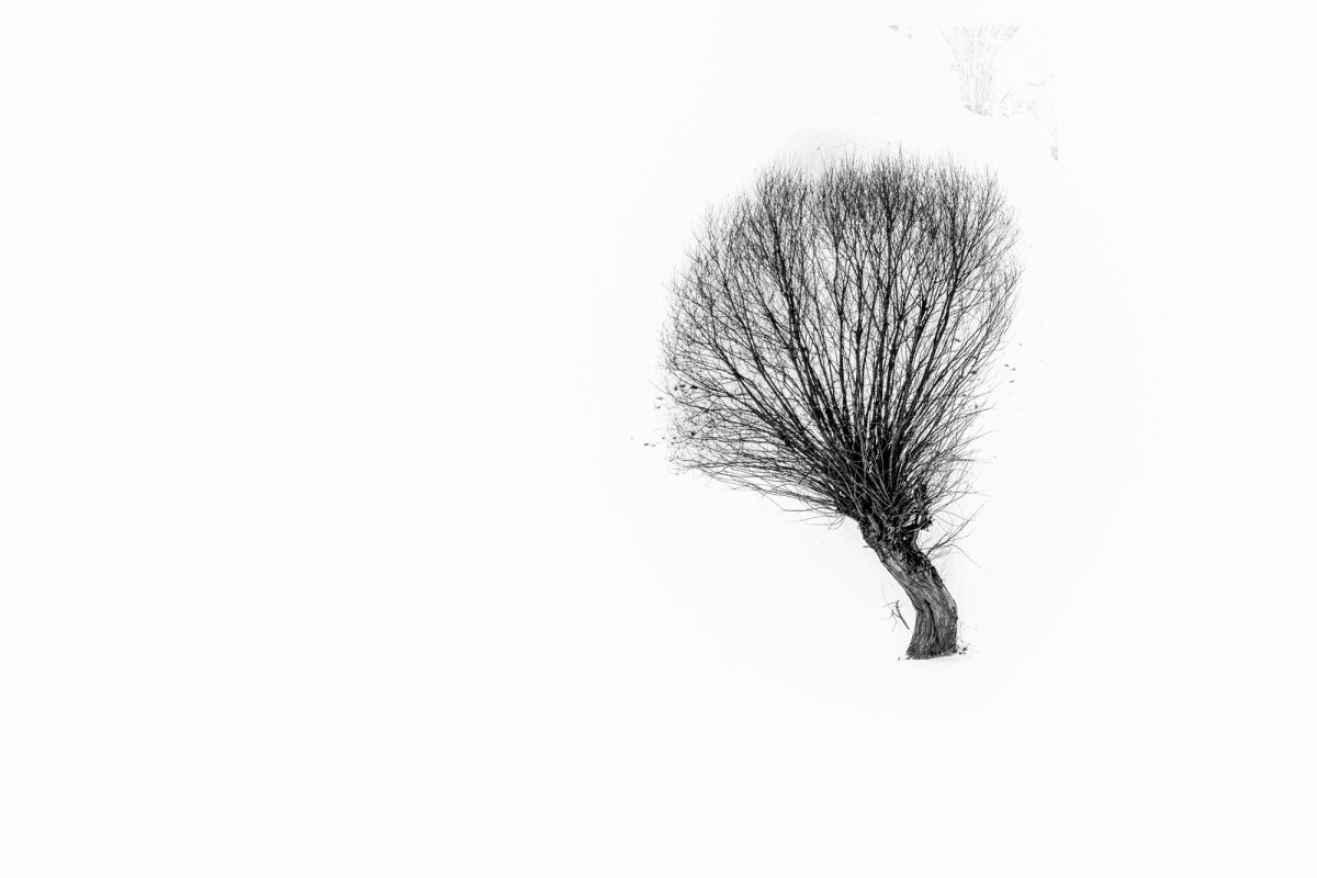 Lucrarea lui Dumnezeu și nevoile trupești 45691