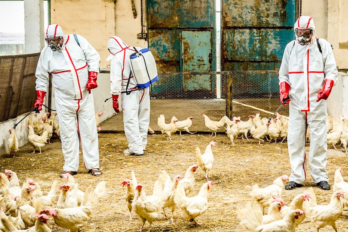 Comedia românească între candoare și cinism: „Afacerea Est” și „6,9 pe scara Richter” 45507