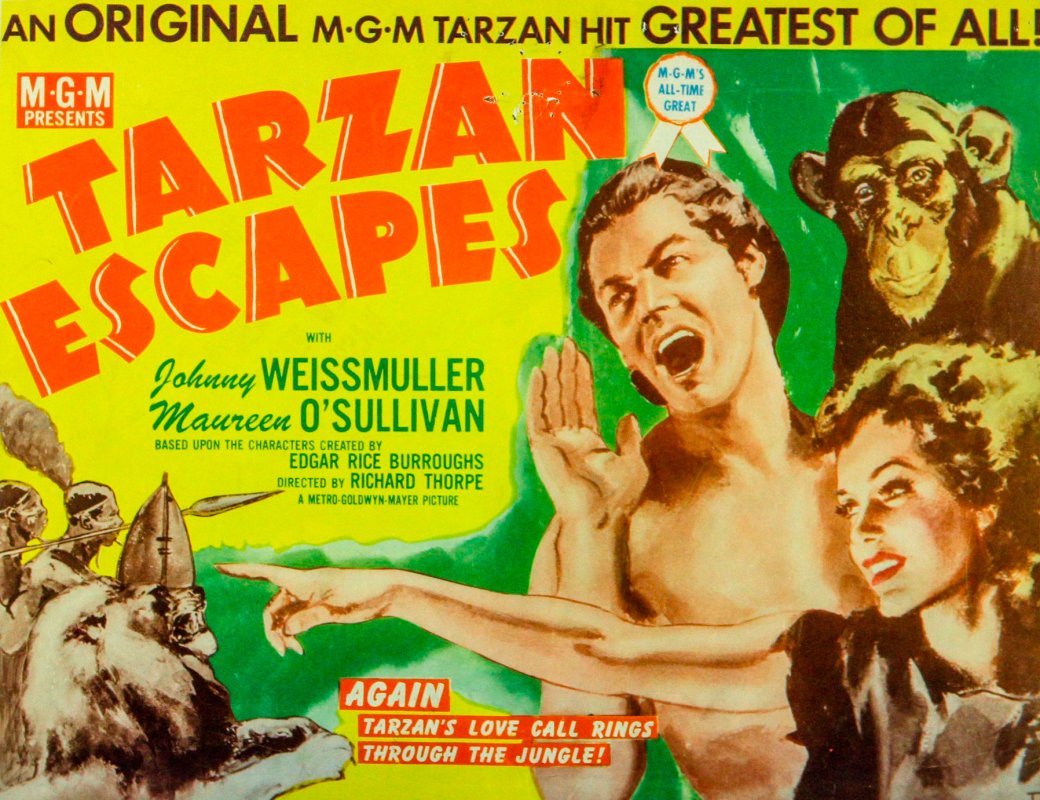 Umăr la umăr prin istoria cărții și a filmului 45511