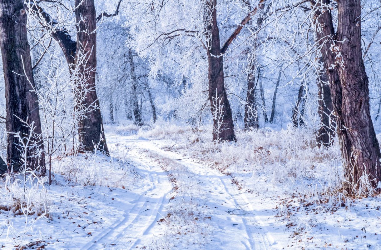 Când părinții nu pot visa la viitorul copiilor 45447