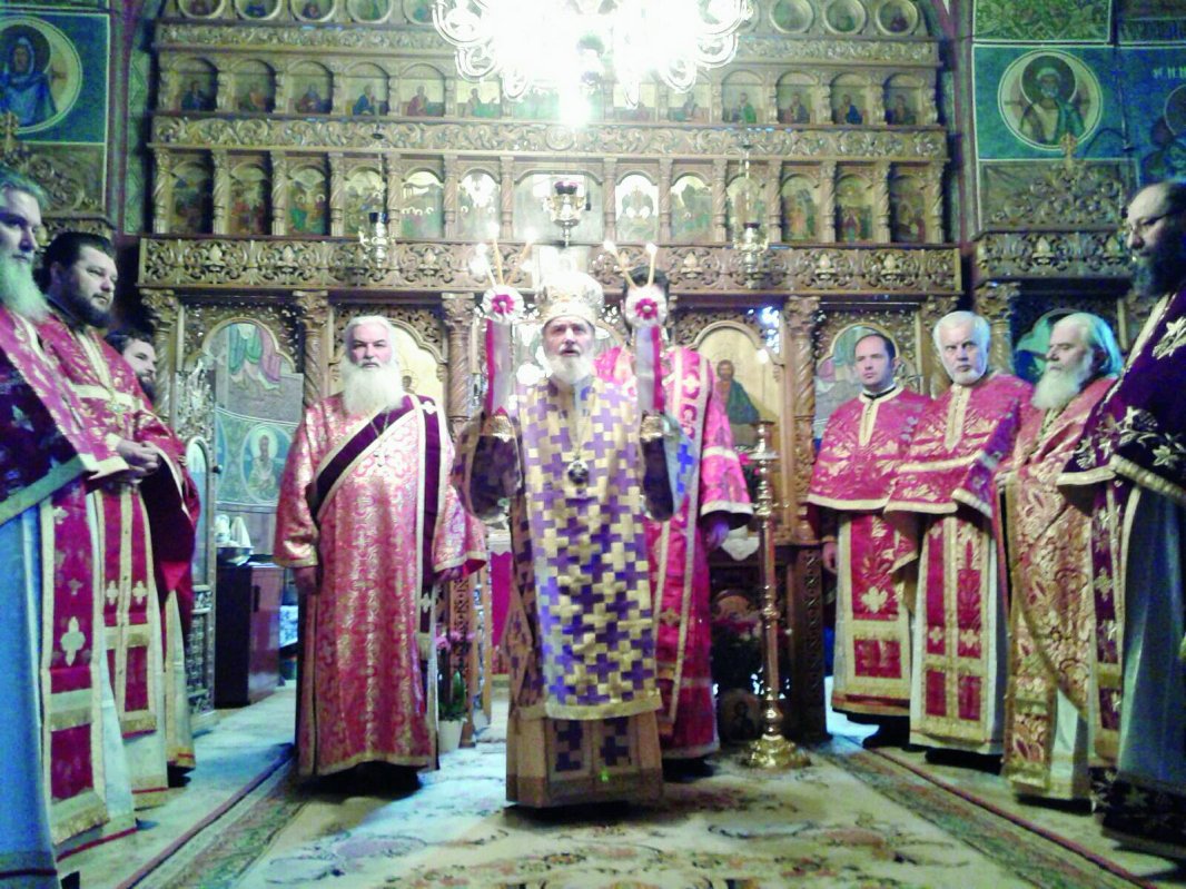 Vizite pastorale și slujiri arhierești în Banat 45102