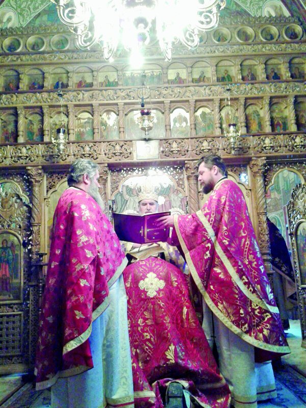 Vizite pastorale și slujiri arhierești în Banat 45103