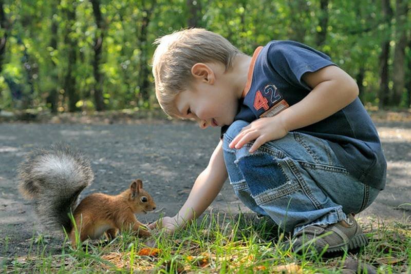 Schimb de inimi 44856