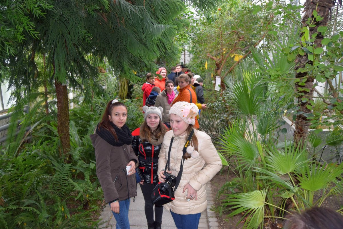 Copii și tineri din Banat, pelerini în Ardeal 44786