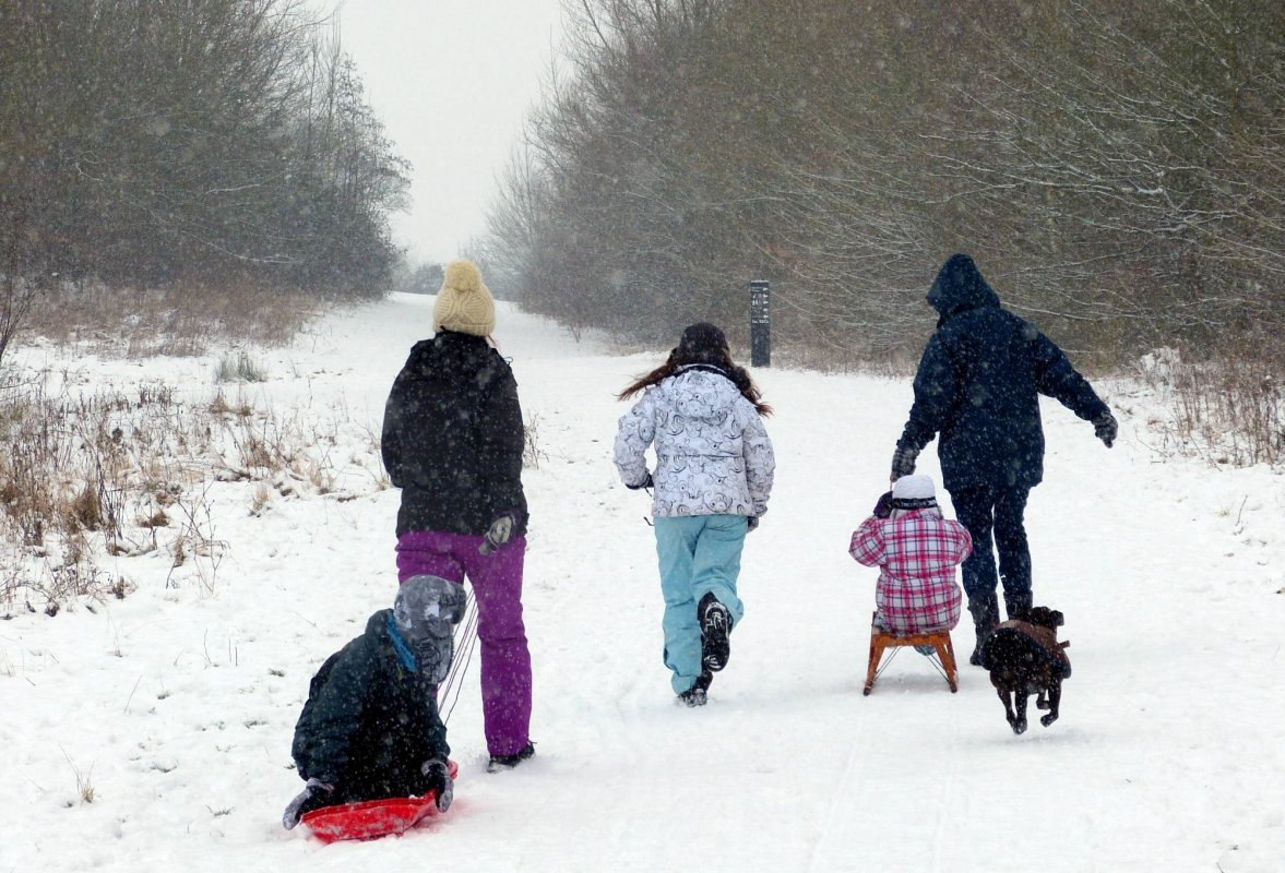 Familia, un patrimoniu al umanității 44749