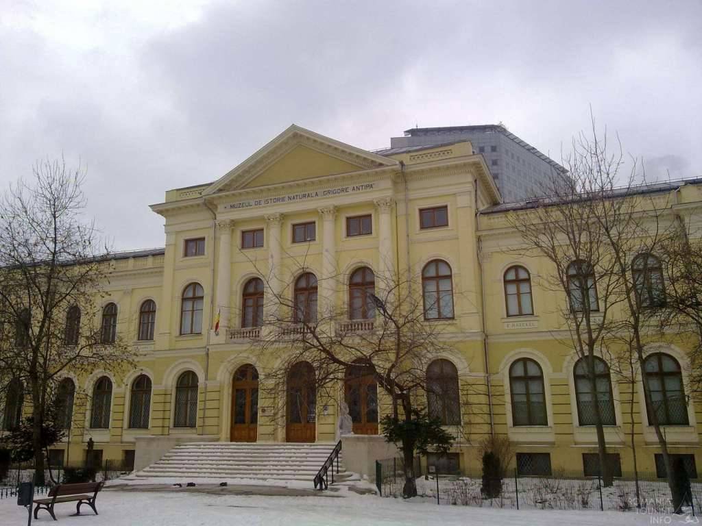 Unde fugim de-acasă? 44701