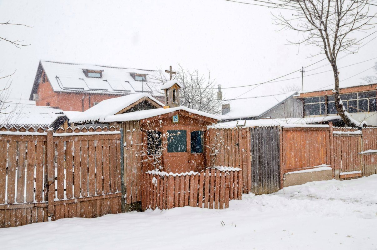 O incredibilă poveste de viață cu final fericit 44660