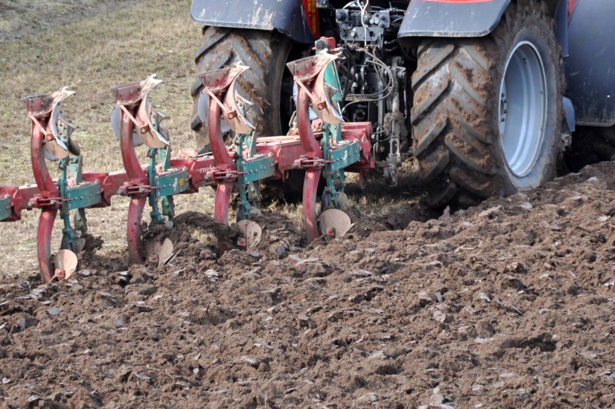 Calendarul pentru plăţile directe în agricultură 44616