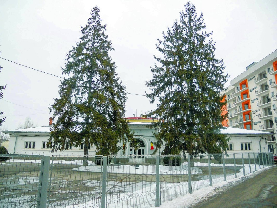 Memorialul Pitești: asculți cu ochii, auzi tortura 44440