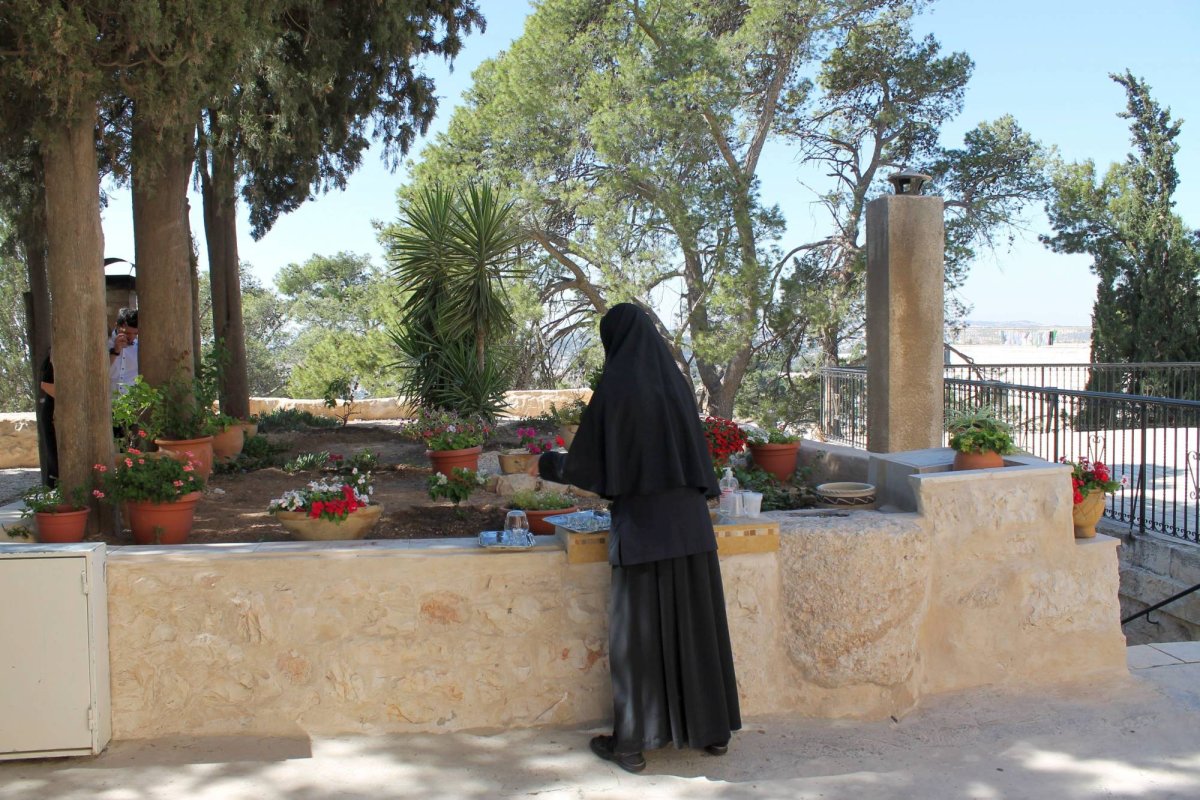 Pelerinaj în grădinile Eleonului 44066