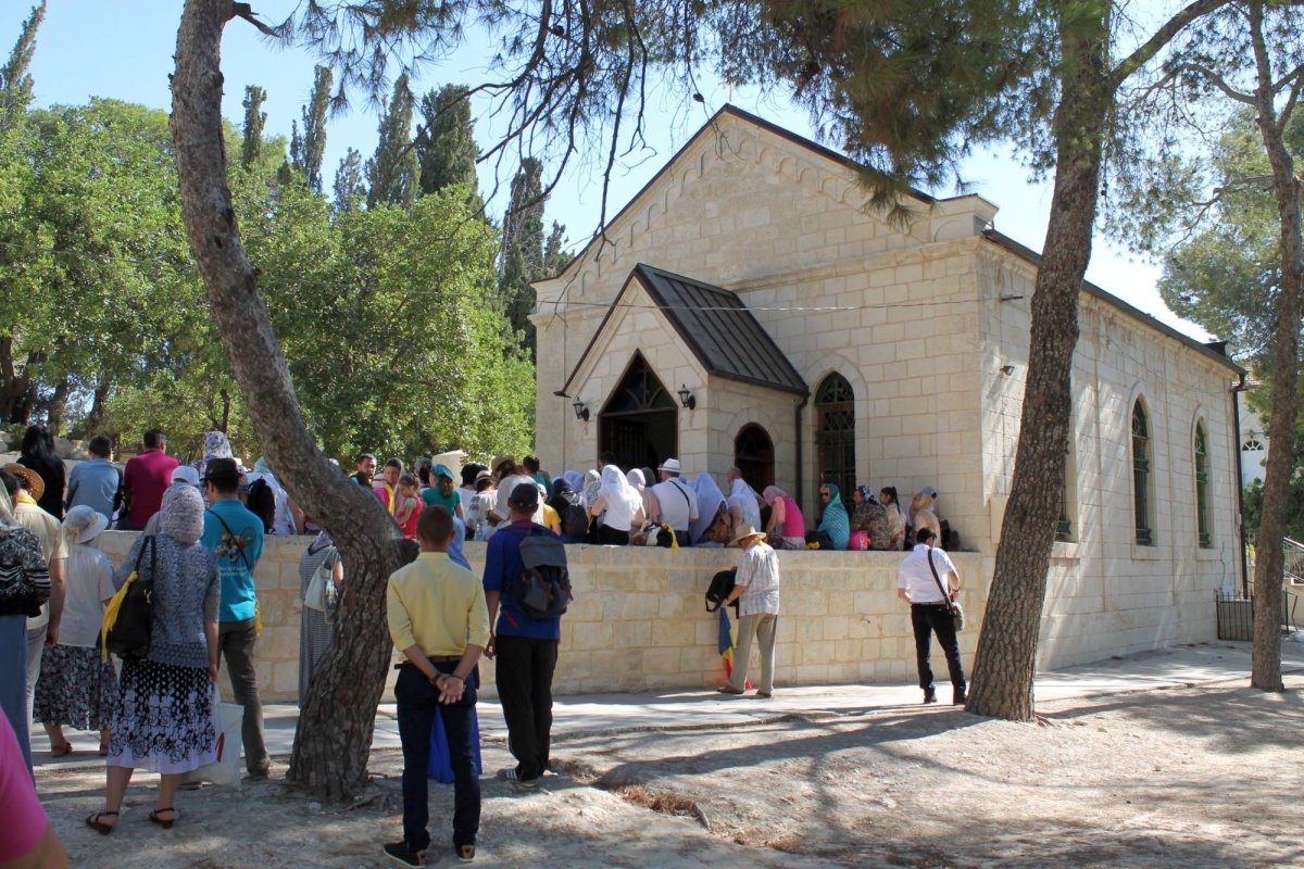 Pelerinaj în grădinile Eleonului 44067