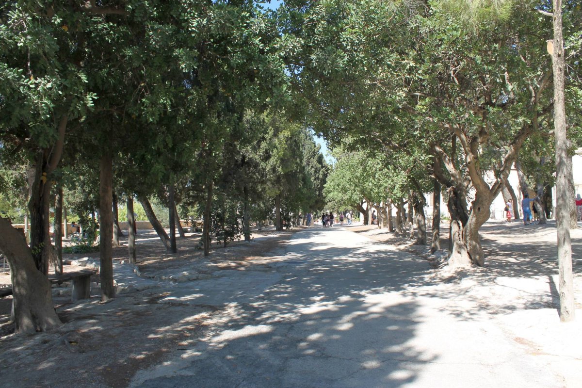 Pelerinaj în grădinile Eleonului 44069