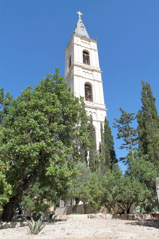 Pelerinaj în grădinile Eleonului 44070