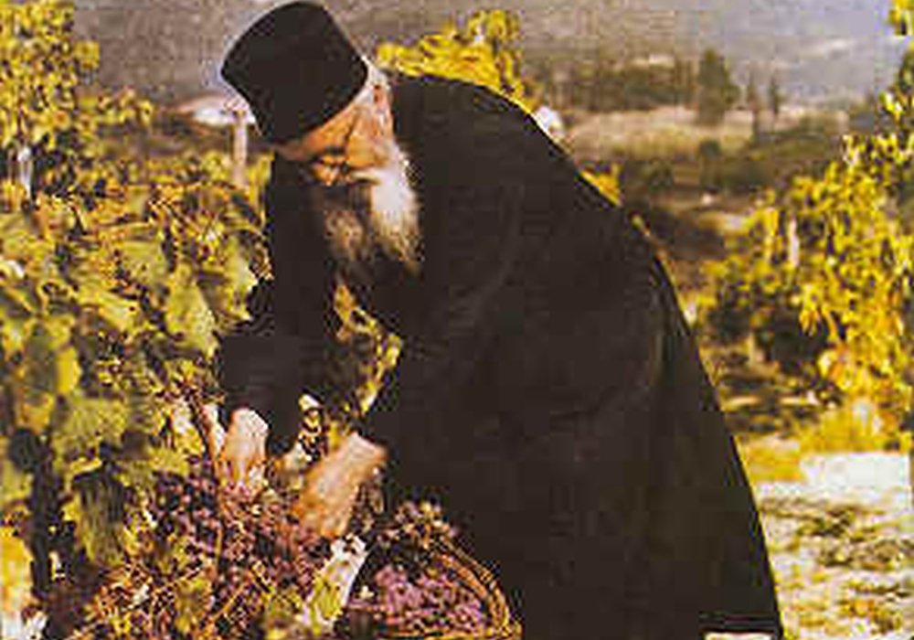 Răbdarea mântuiește 161507