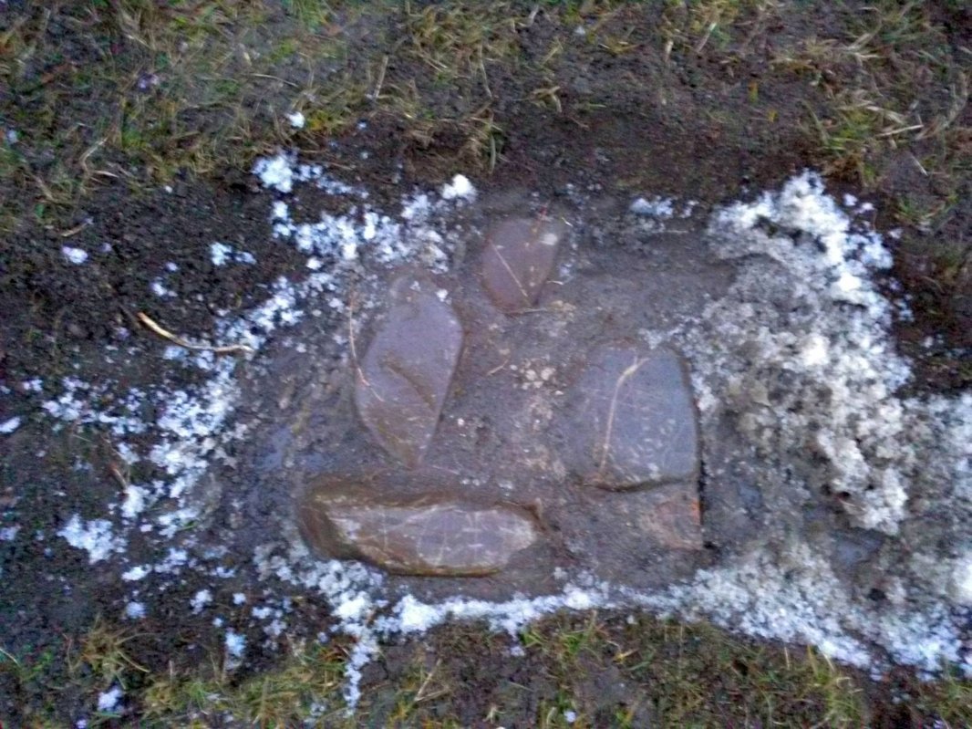 Tulburătoarea poveste a unei sihăstrii dispărute 43847