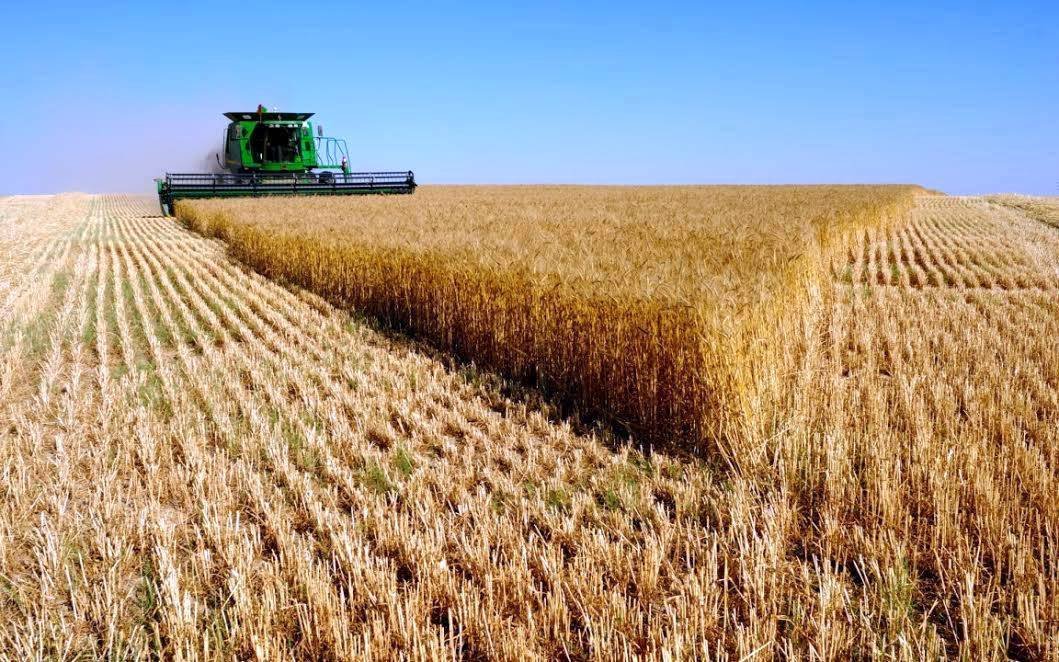 A început campania de primire a cererilor unice de plată  43604