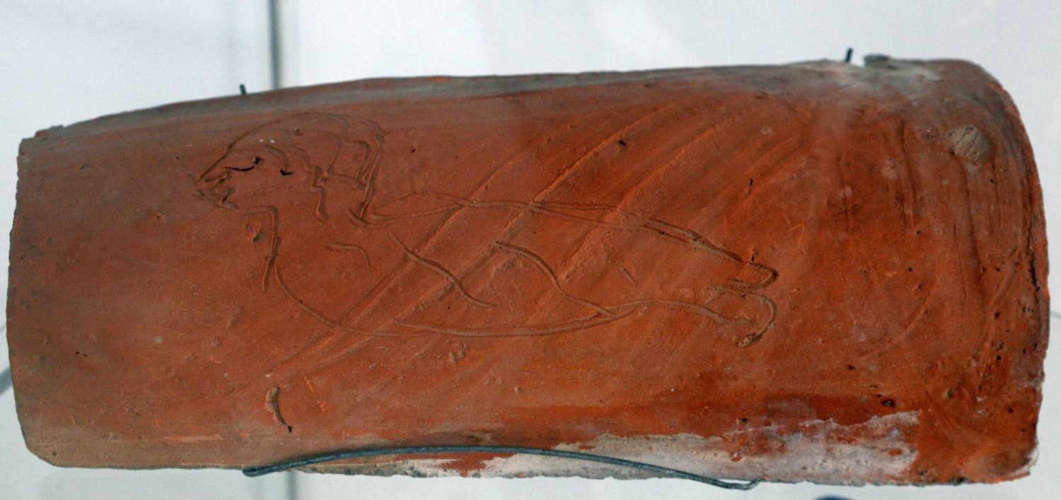 Lumea din tăcerile de lut ale lui Paraschiv 43388