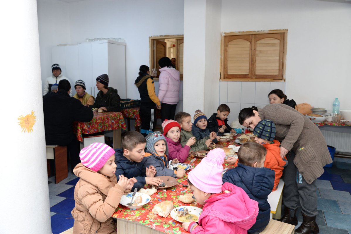 Lucrarea minunat de firească de la Valea Plopului 42641