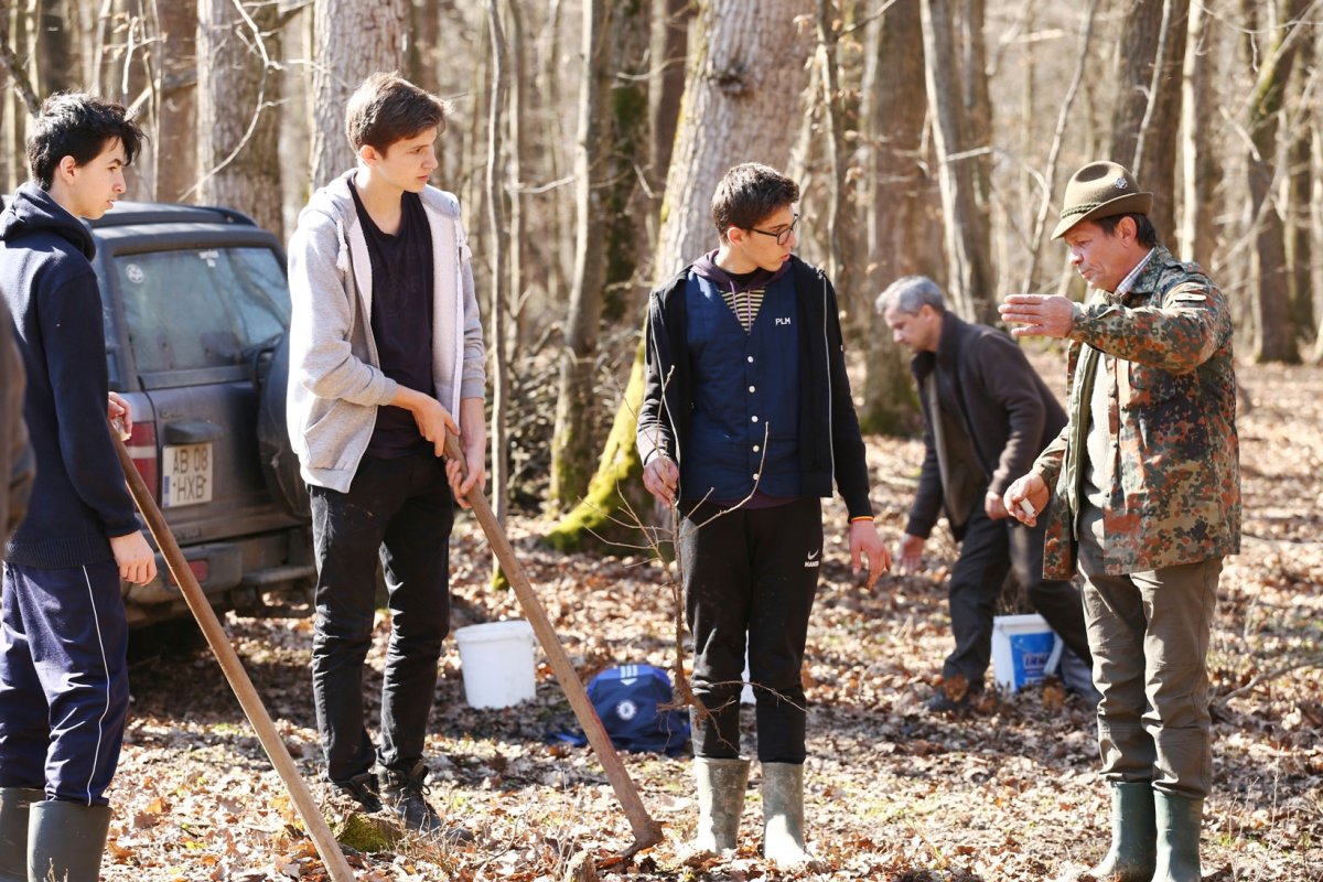 Liceeni din Sibiu au plantat copaci la Marpod 42555