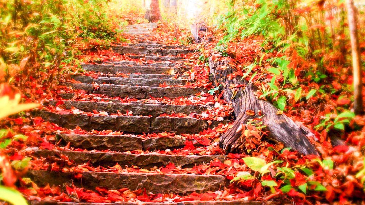 Lecţii de viaţă 42444