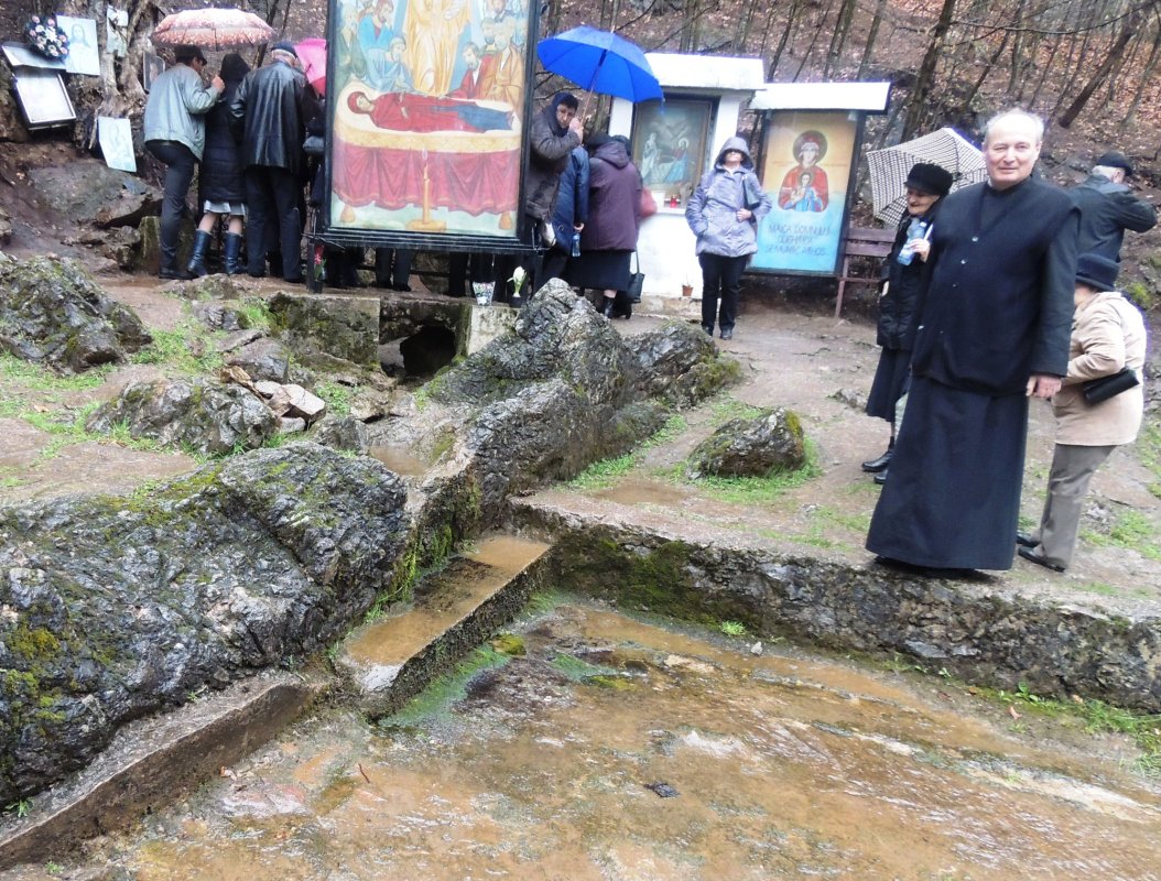 O lecție despre icoane și iconari, pentru pelerinii clujeni 42407