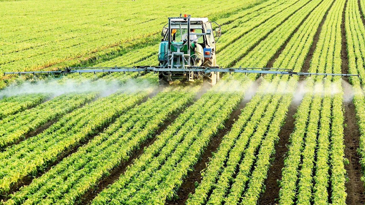 Băncile sunt interesate să acorde credite agricultorilor 41826