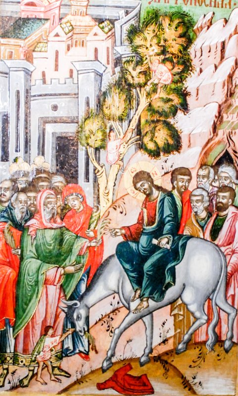 „Astăzi, Mirele vine șezând  pe mânz ca pe tron” 41543