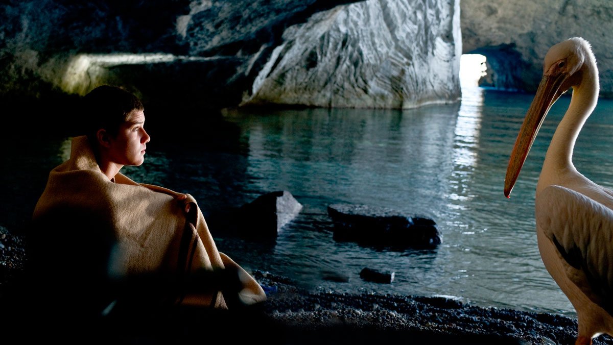 Un film despre copii și animale: „Pelicanul Nicostratos” 41516