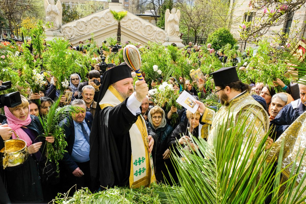 „Toate acestea sunt flori de lumină ale credinţei” 41376