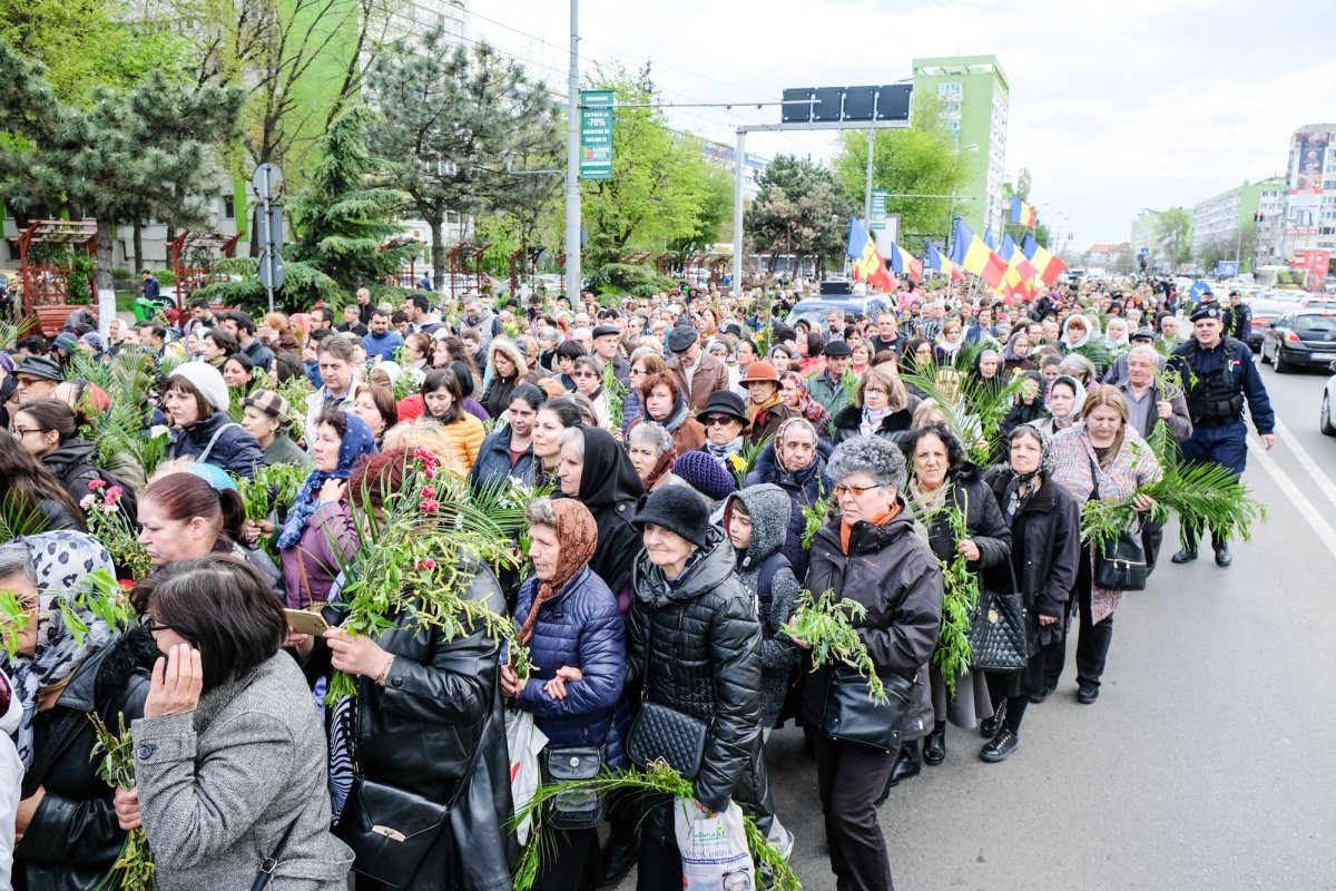 „Toate acestea sunt flori de lumină ale credinţei” 41377