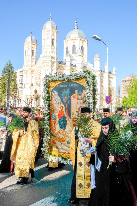 „Toate acestea sunt flori de lumină ale credinţei” 41379