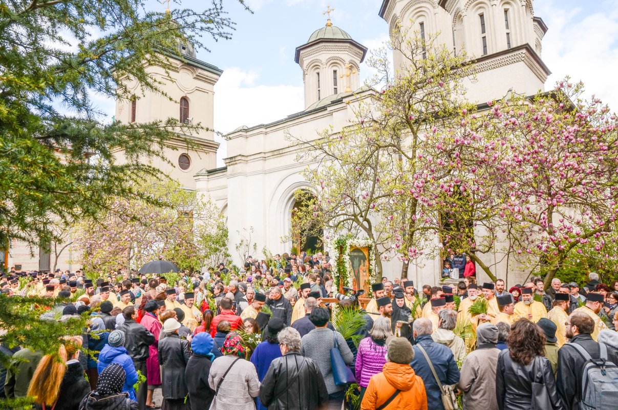 „Toate acestea sunt flori de lumină ale credinţei” 41383