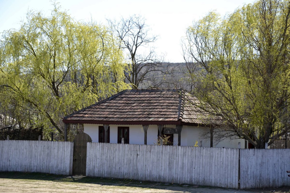 Paștile răzeșilor de la Pogonești 41086