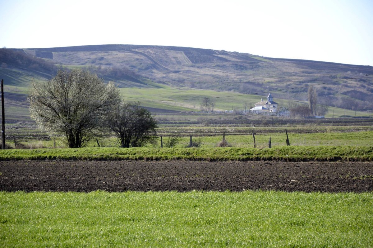 Paștile răzeșilor de la Pogonești 41095