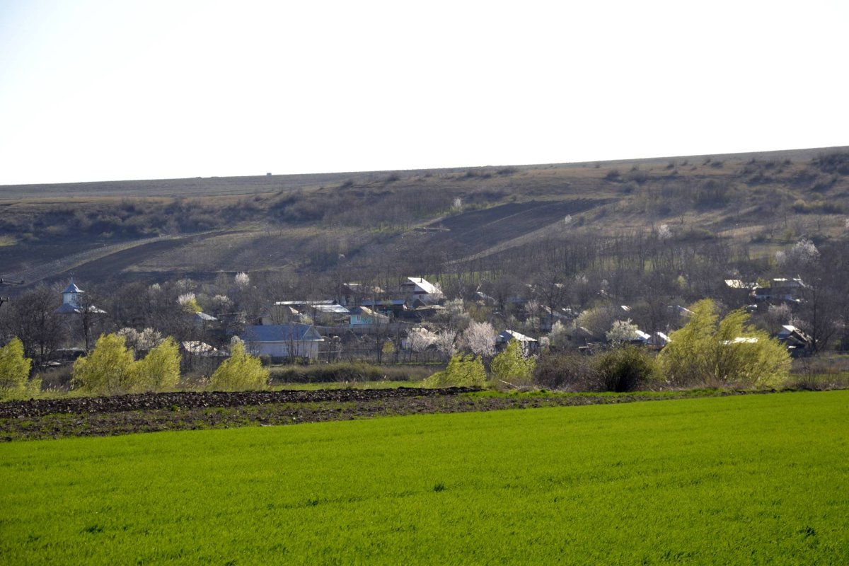 Paștile răzeșilor de la Pogonești 41107