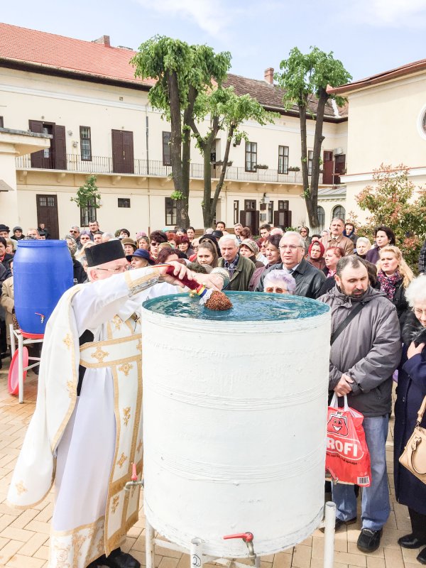 Izvorul Tămăduirii, sărbătorit în Banat 40591