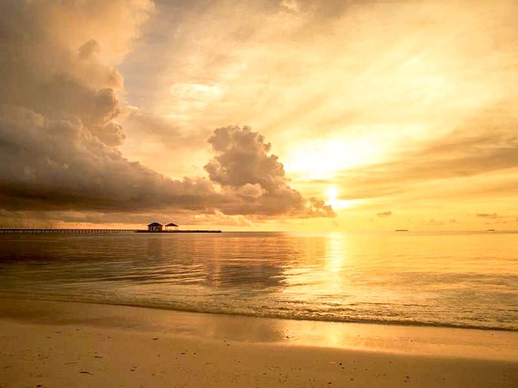 Perspectiva vieții cotidiene 40629