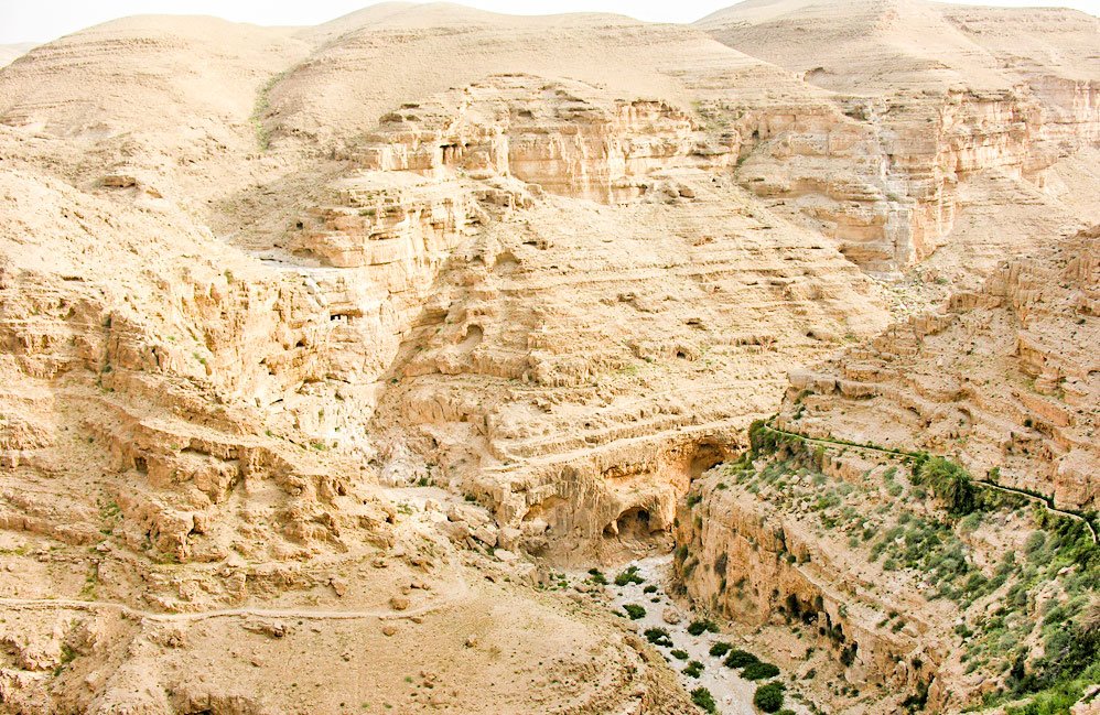 „N-am învățat pe nimeni ceea ce  nu am făcut mai înainte” 40551