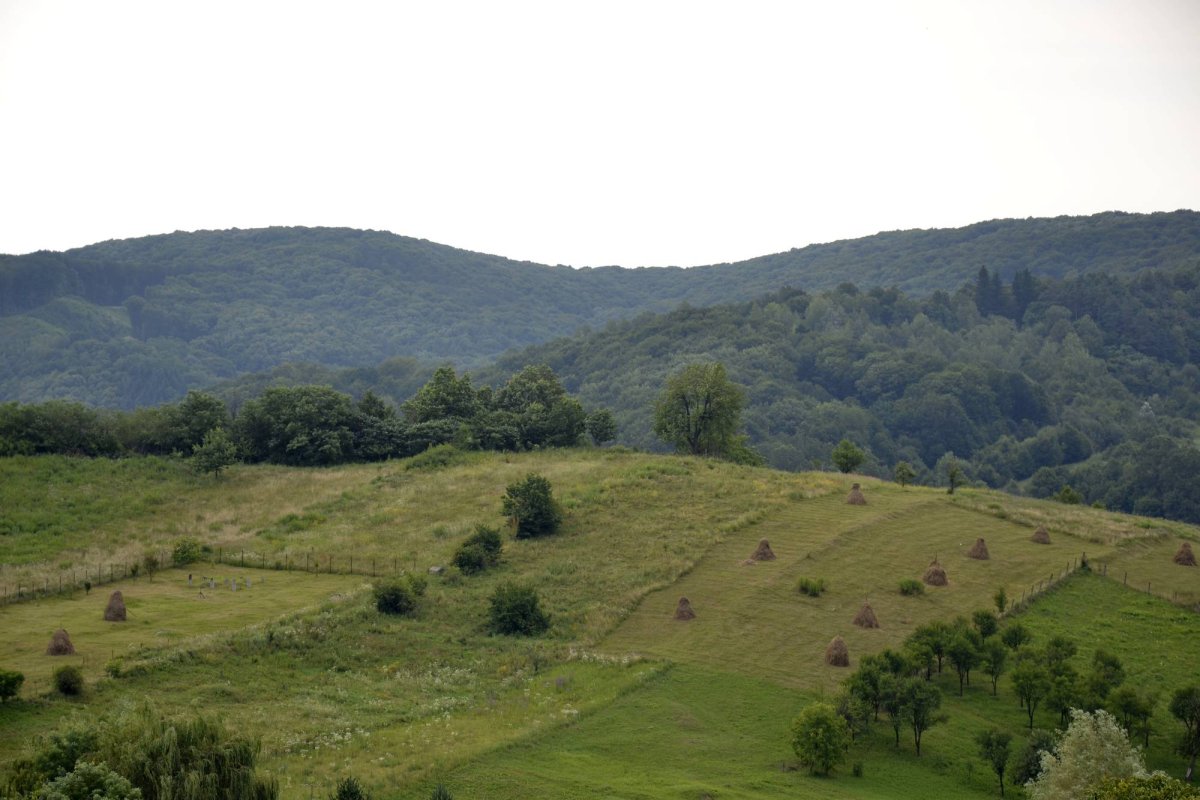 Lumea din traista Bădiței Ioan Măric 39914
