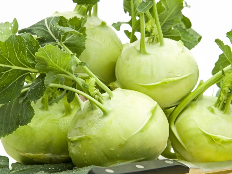 Gulia și proprietățile sale antiinfecțioase 39560