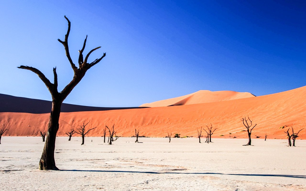 Luciditatea smereniei 39257