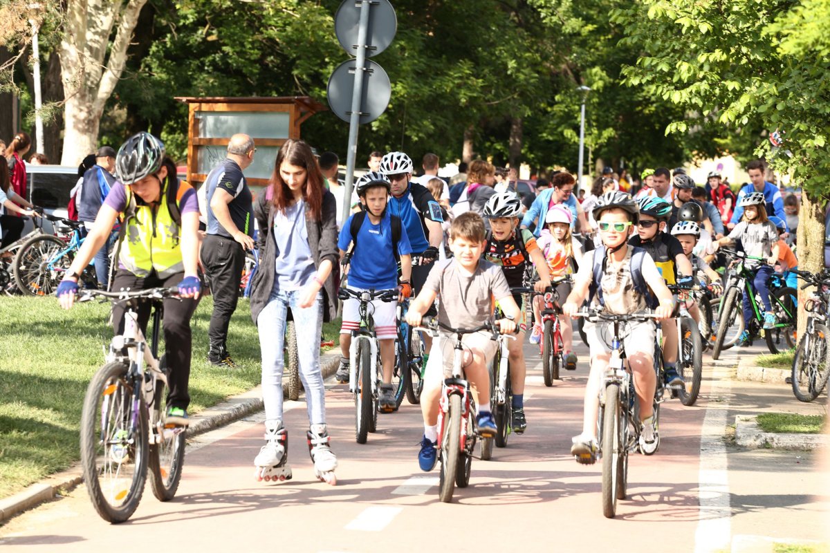 Ziua Internațională a Sportului, sărbătorită la Sibiu 39066