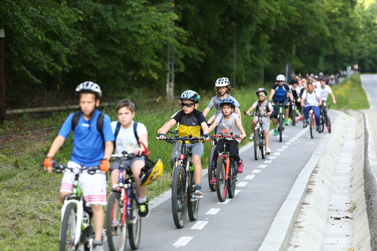 Ziua Internațională a Sportului, sărbătorită la Sibiu 39067