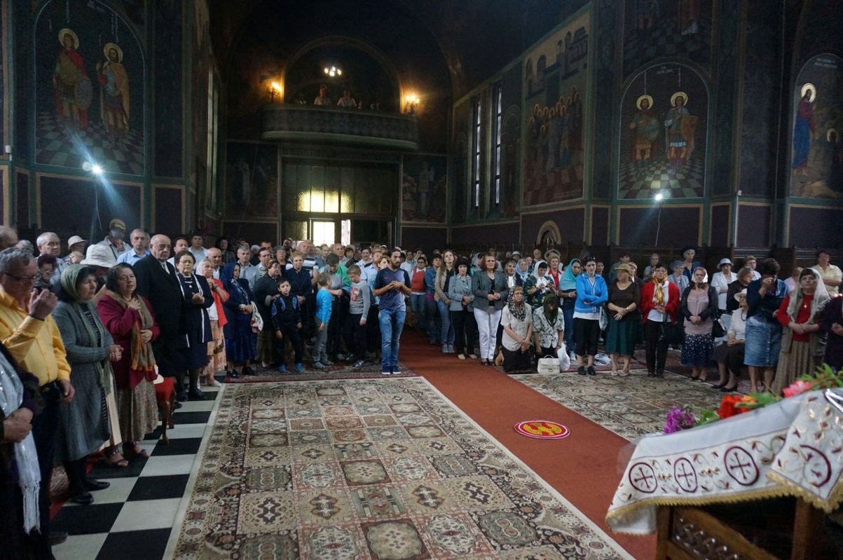 Grija pentru aproapele, esența slujirii sociale 38504