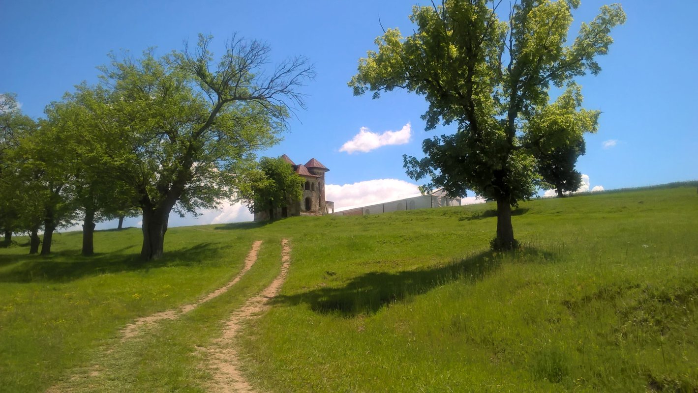 Congresul Tinerilor Ortodocşi, la a XIII-a ediţie 38345