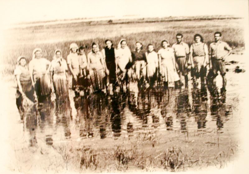 Românii deportați în Bărăgan 37941