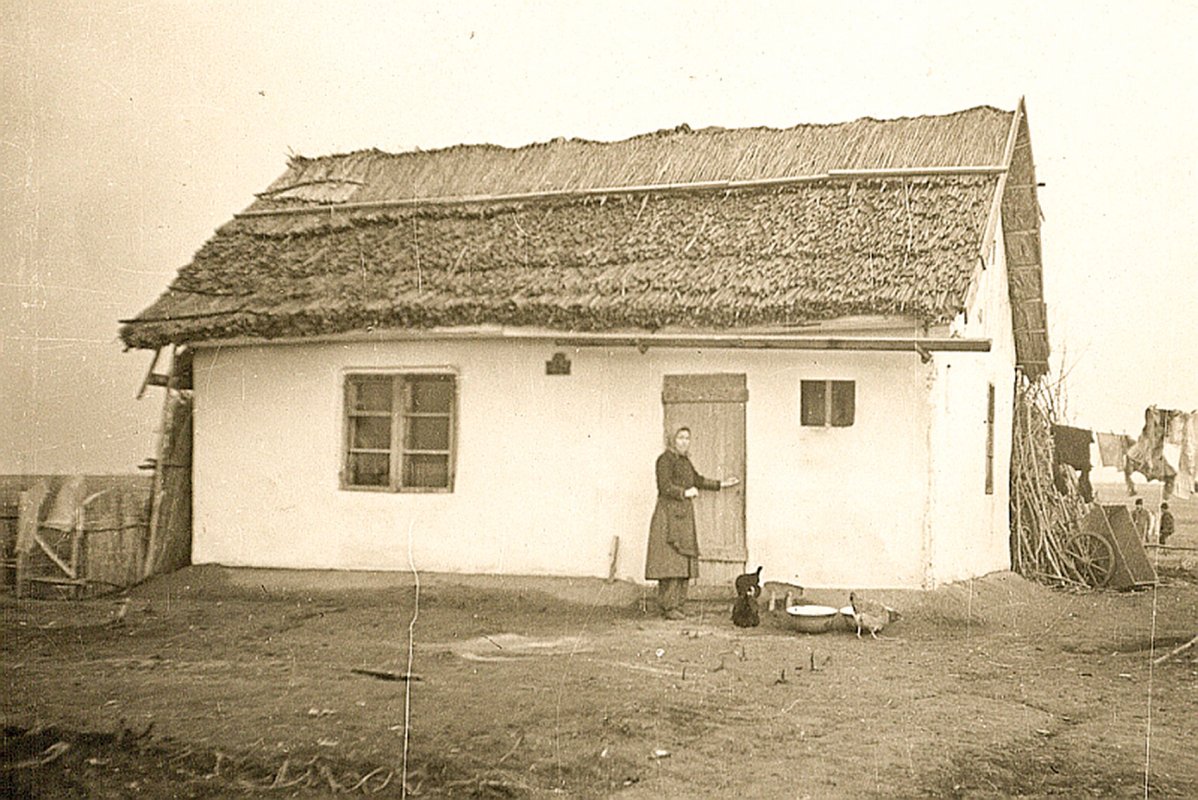 Românii deportați în Bărăgan 37946