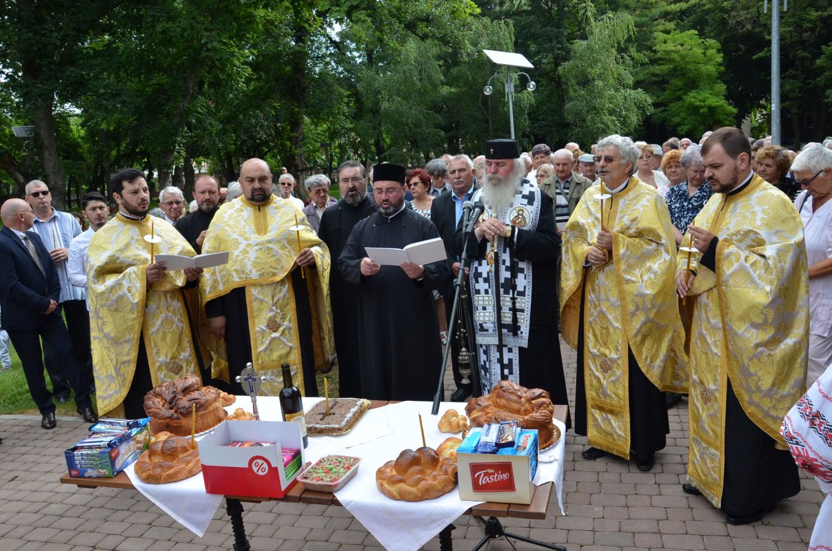 „Sunteți cărțile vii de istorie a neamului” 37285