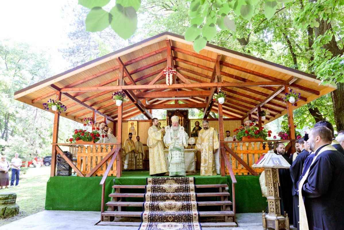 Cinstirea Sfântului Grigorie Dascălul la Căldărușani 37174