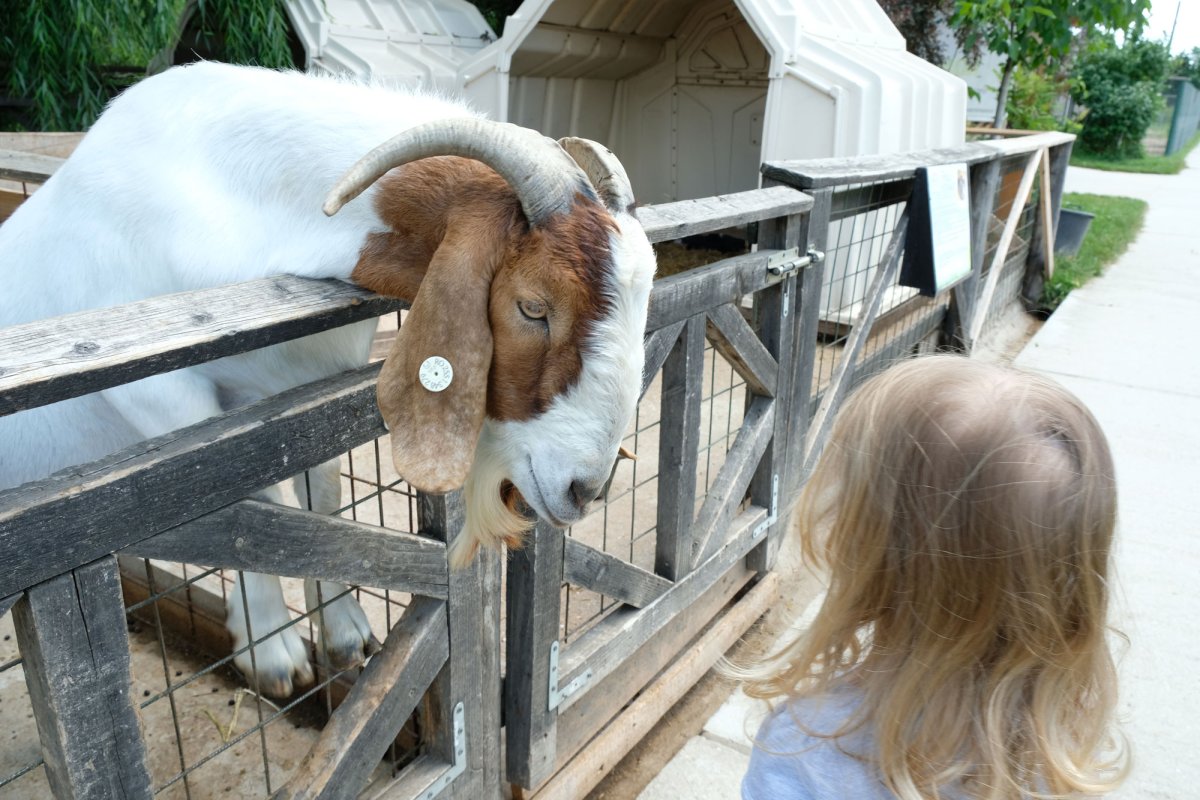 Vacanţă plăcută pentru copiii Centrului „Justinian Patriarhul” 37157